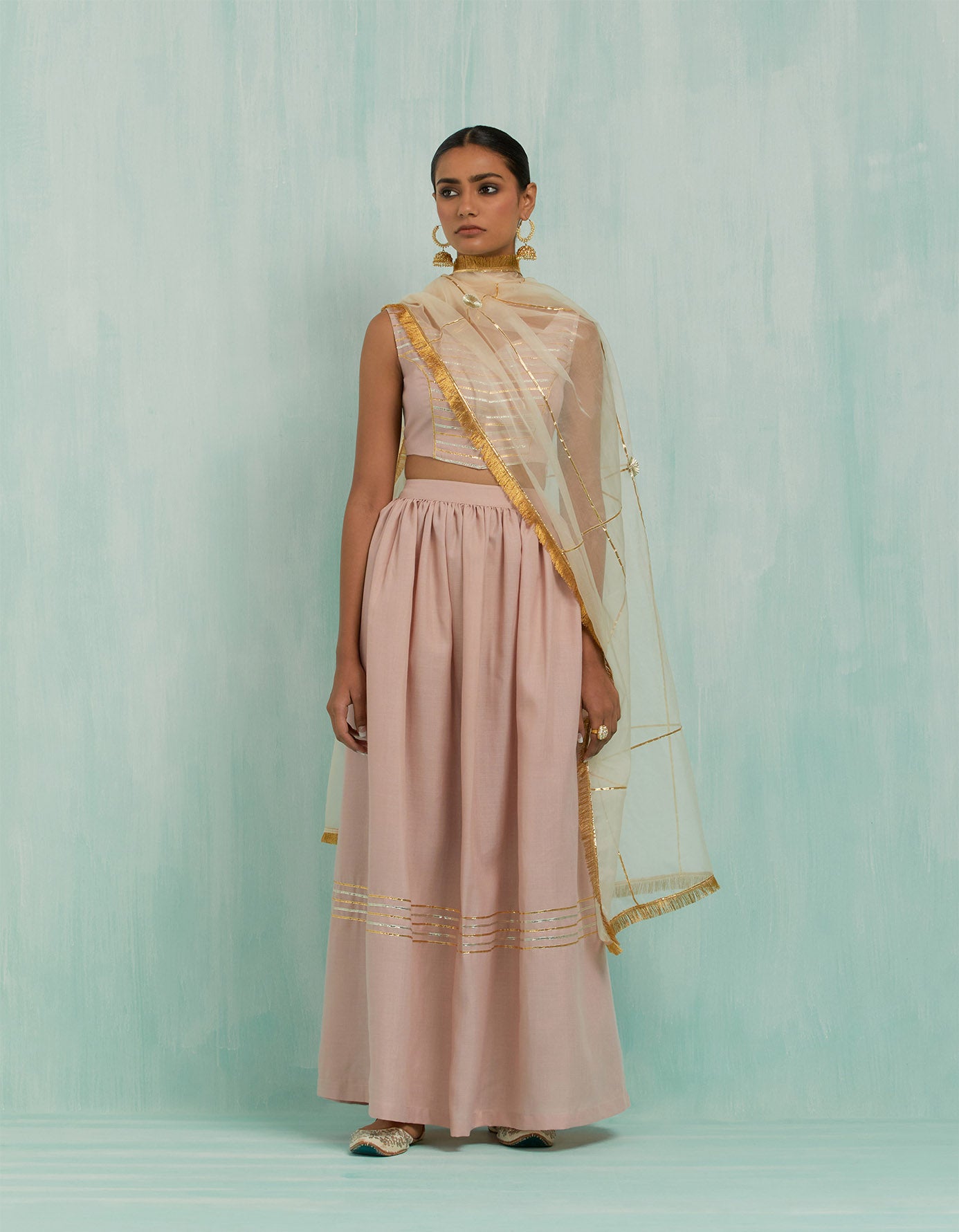 Pale Pink Niyaaz Lehenga (Set Of 2)